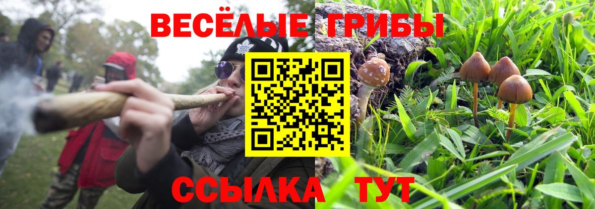 Псилоцибиновые грибы Magic Shrooms Азов