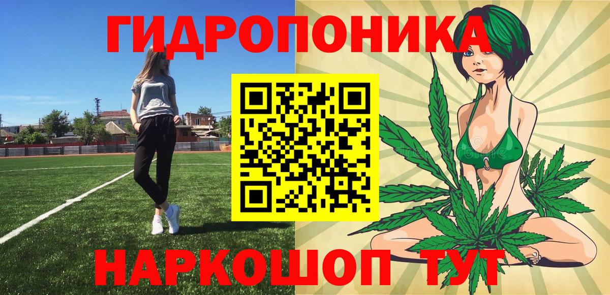 Шишки марихуана конопля  Бошки марихуана OG Kush  Вход с VPN  Азов  Марихуана White Widow  Бошки марихуана THC 21% 